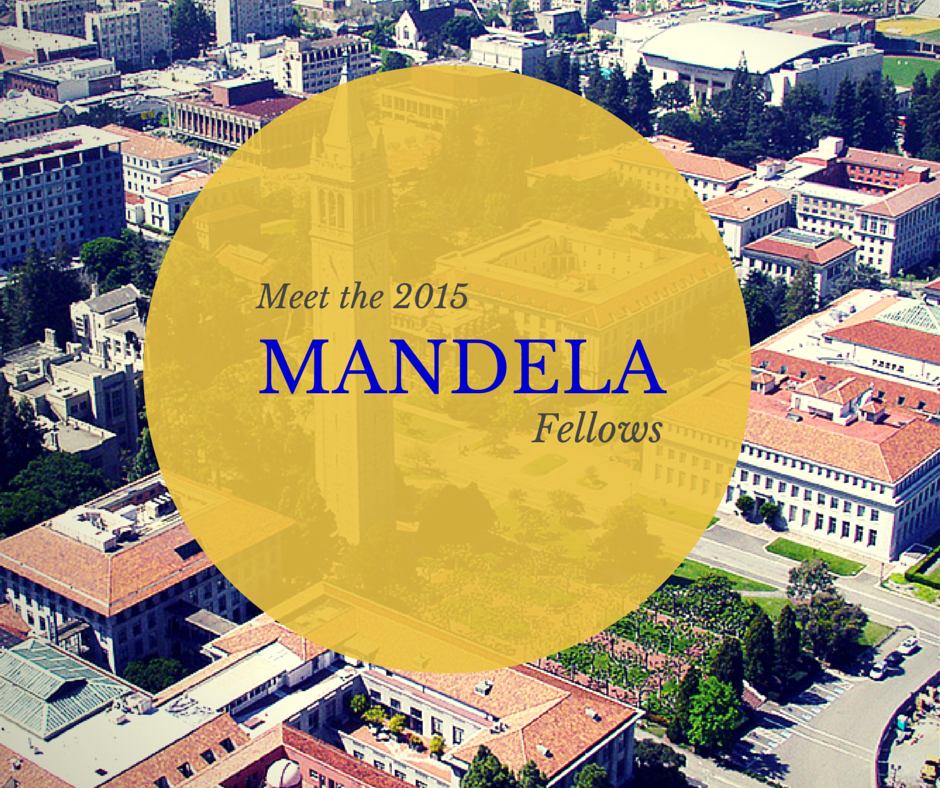 Meet the 2015 Mandela Fellows